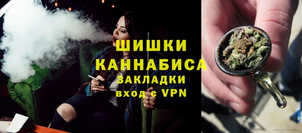 гидра Горно-Алтайск