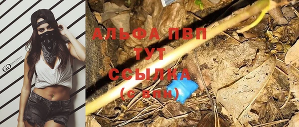 спиды Вязьма