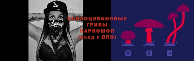 спиды Вязьма