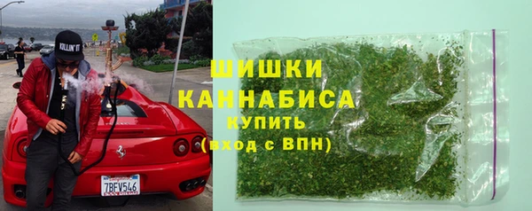 мдпв Гусь-Хрустальный