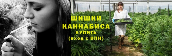 гидра Горно-Алтайск