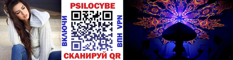 Псилоцибиновые грибы Psilocybe  Дедовск 