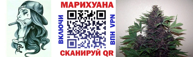 Бошки марихуана семена  наркотики  Дедовск 